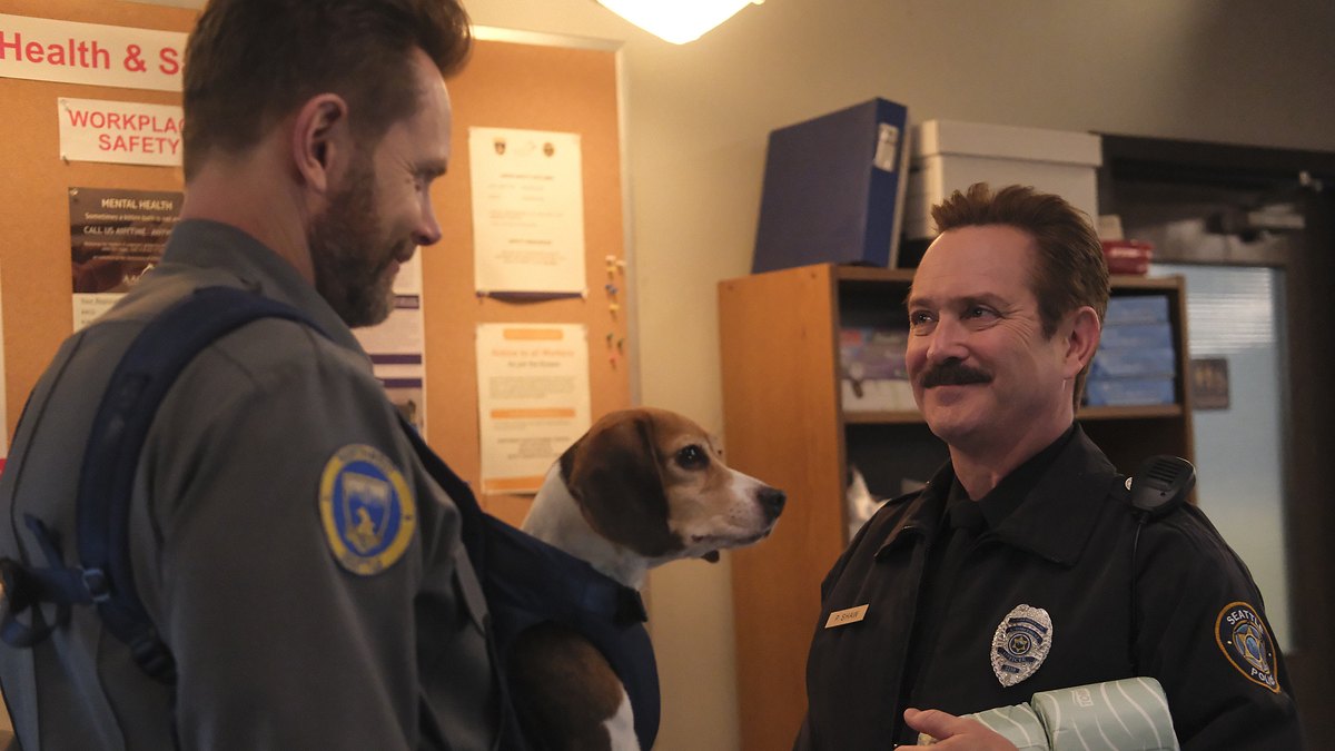 animal control