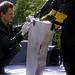 CSI: NY Thumbnail