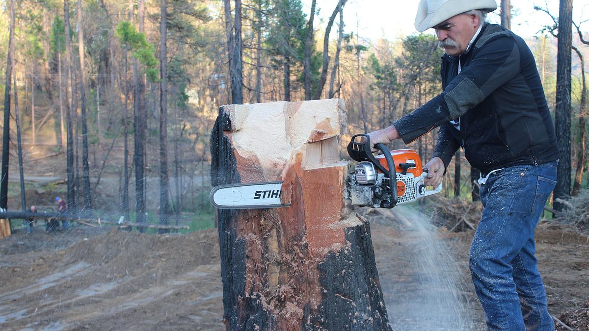 home rescue - wohnen in der wildnis