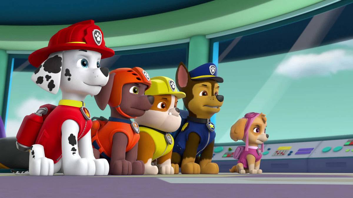 Paw Patrol - Helfer auf vier Pfoten paw patrol - helfer auf vier pfoten
