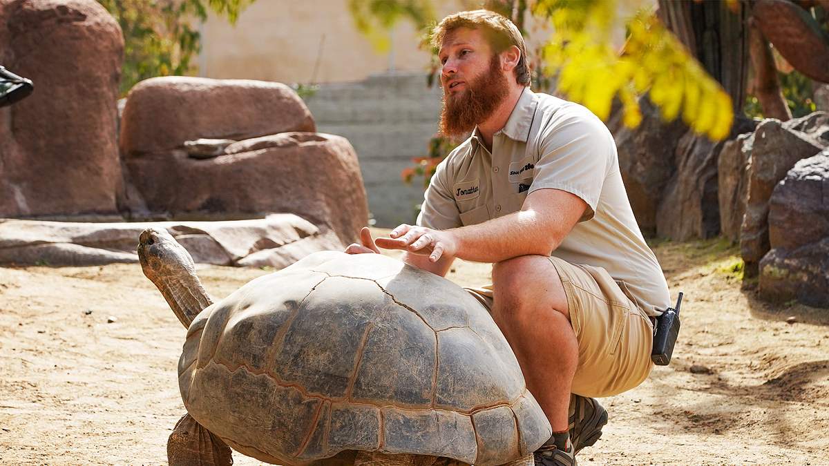 san diego zoo