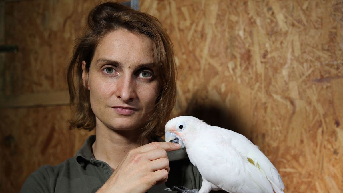 die superkräfte der tiere
