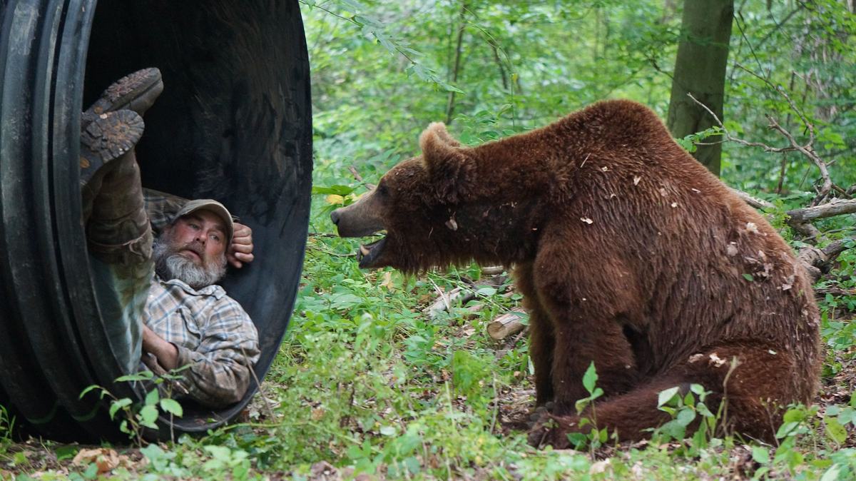 Das Grizzly-Projekt das grizzly-projekt