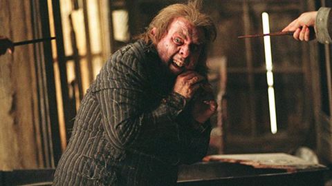 „Harry Potter“-Wurmschwanz: So krass hat er sich verändert - Foto: Warner Bros.
