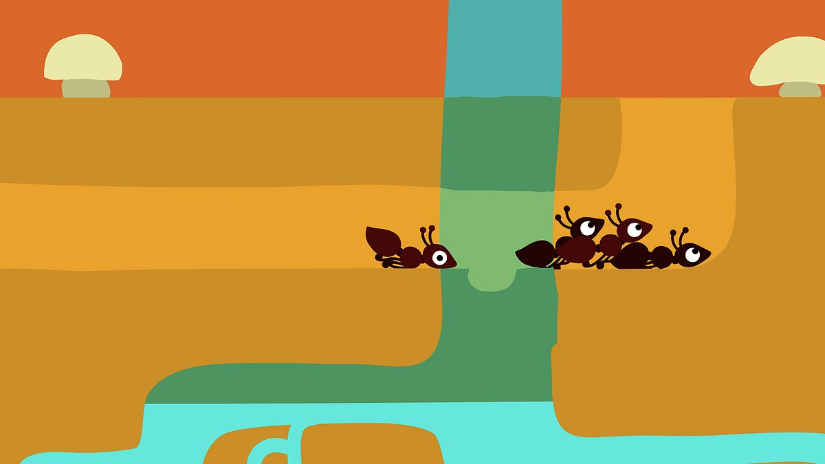 animanimals
