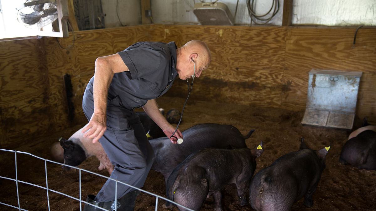 der unglaubliche dr. pol