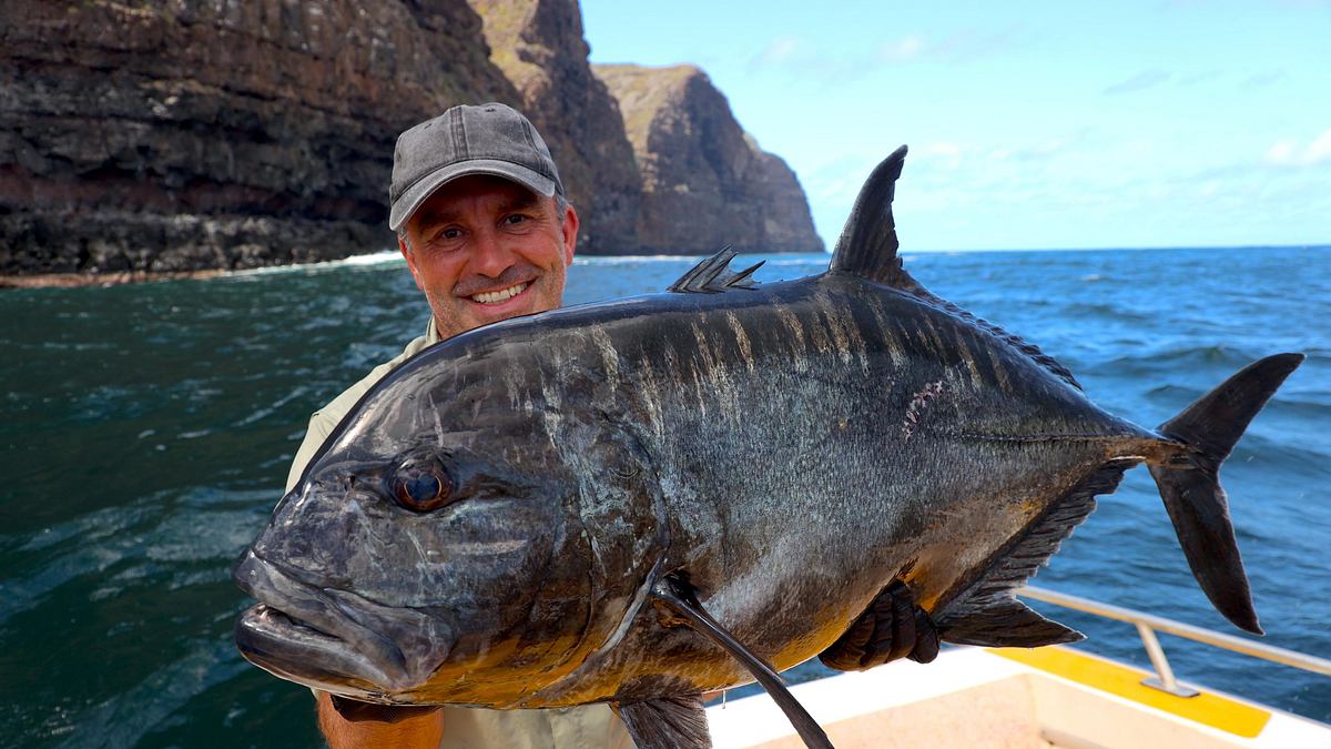 giganten unter wasser - riesenfischen auf der spur