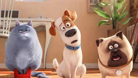 Filmkritik: „Pets 2“ | Über die Freundschaft - Foto: Universal