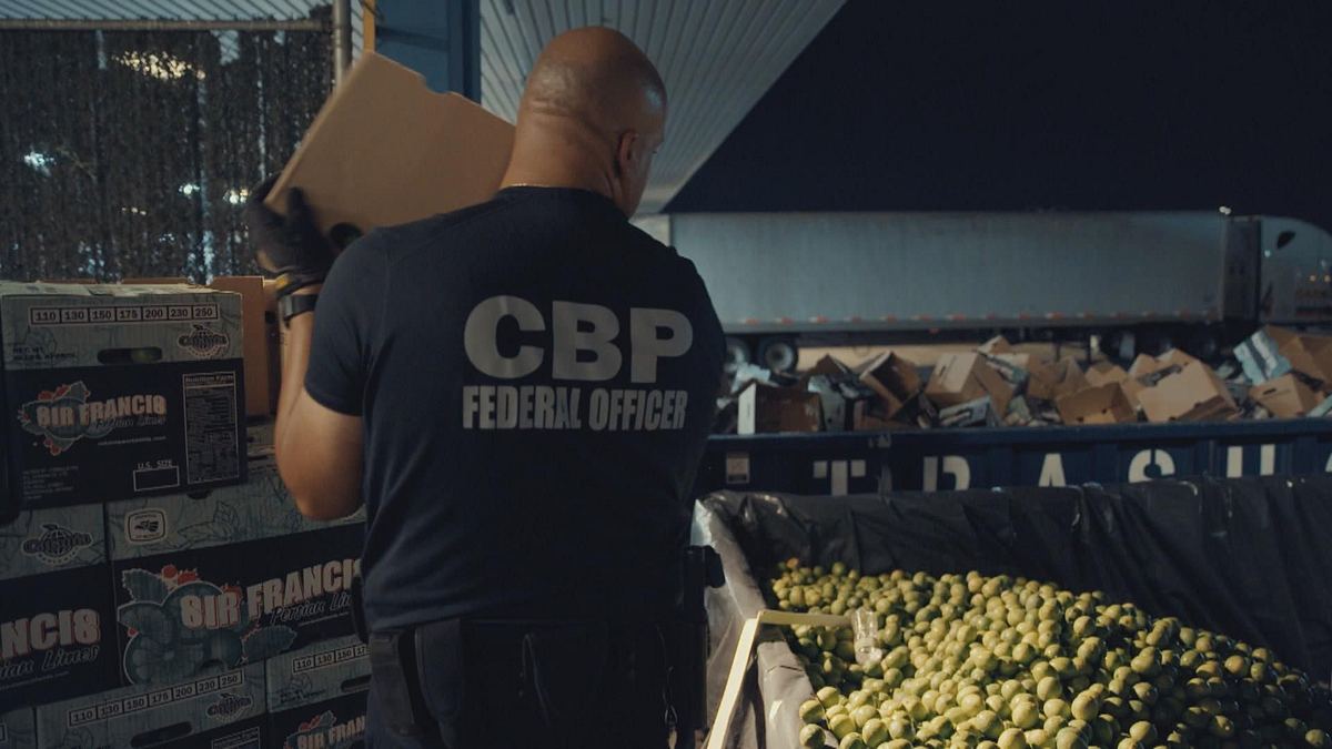 border patrol usa - einsatz an mexikos grenze