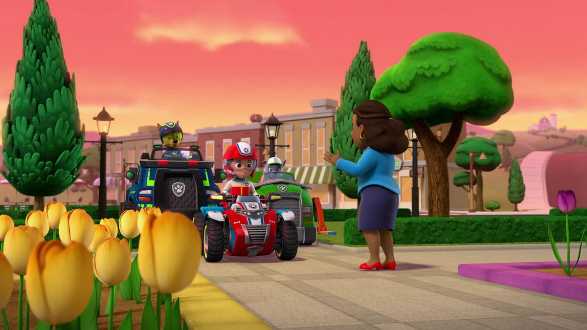 paw patrol - helfer auf vier pfoten