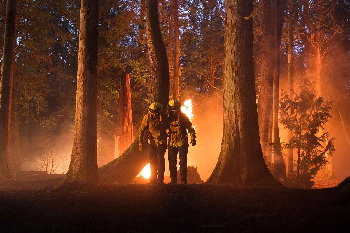 fire country