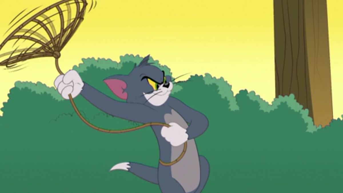 die tom und jerry show