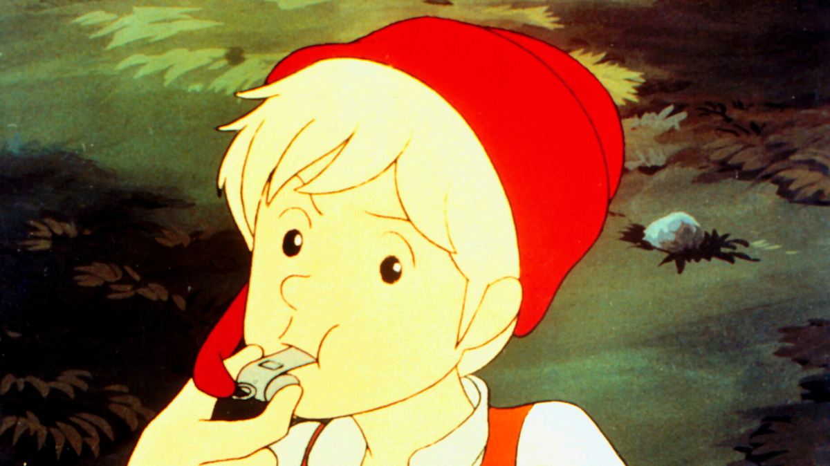 wunderbare reise des kleinen nils holgersson mit den wildgänsen