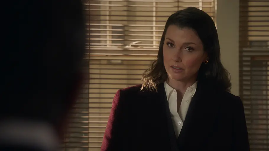 blue bloods - crime scene new york