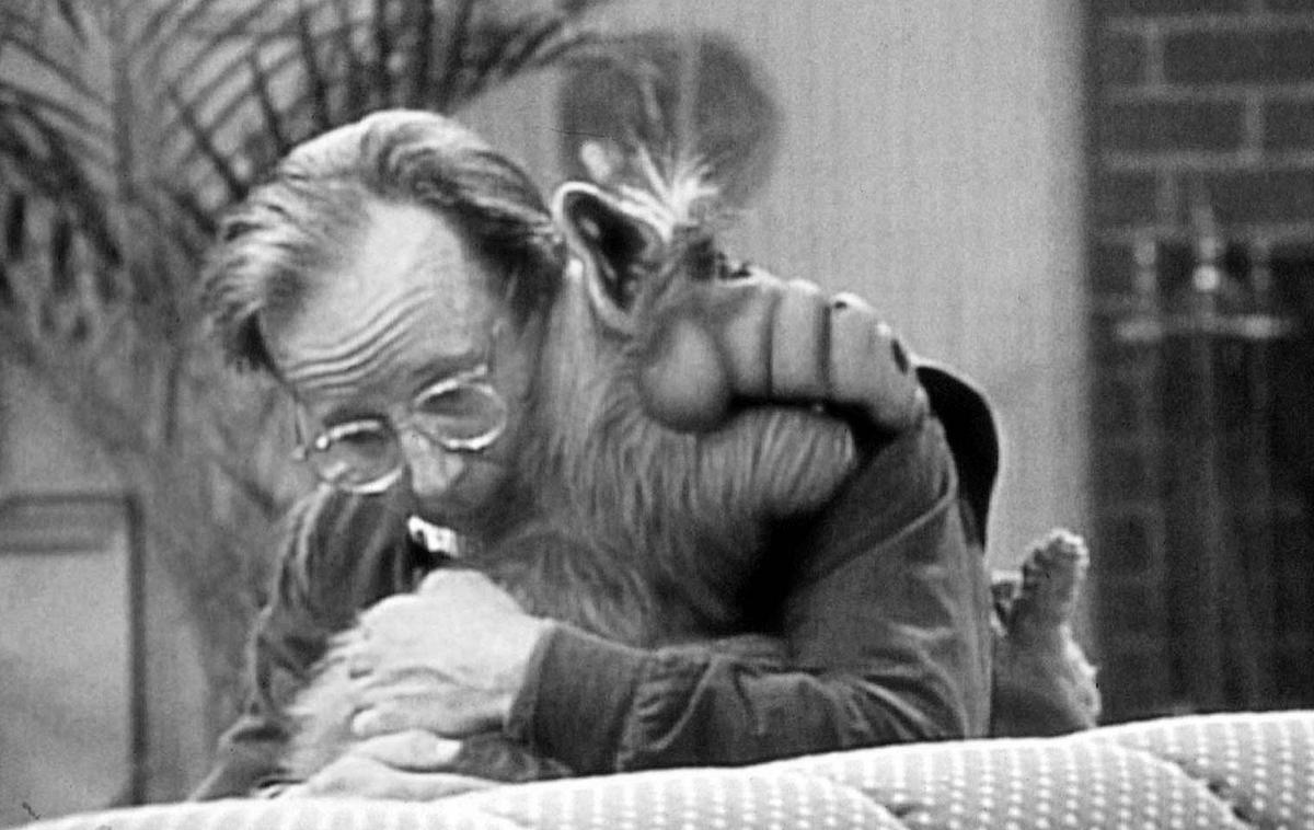 Alf-Darsteller Max Wright ist gestorben