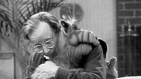 Alf-Darsteller Max Wright ist gestorben - Foto: Sat.1