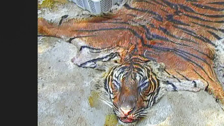 Wildlife Crime - Milliardengeschäft Tierhandel wildlife crime - milliardengeschäft tierhandel