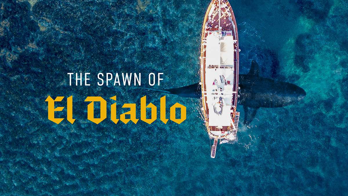 el diablo - weißer hai mit großem biss