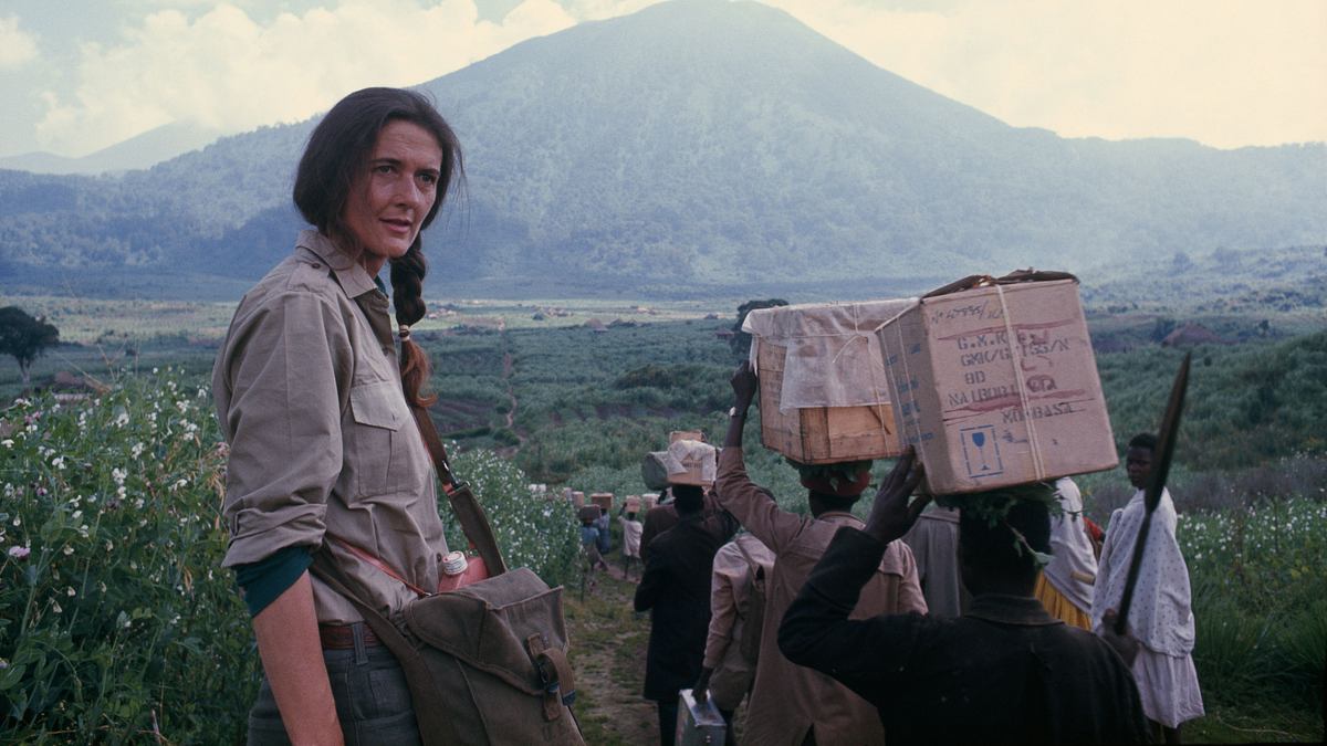 dian fossey: geheimnisse im nebel