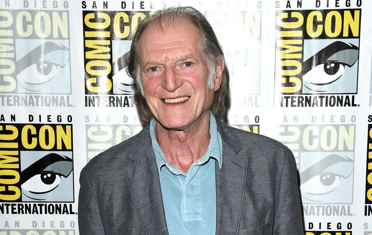 Harry Potter David Bradley