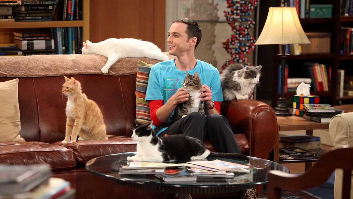 the big bang theory