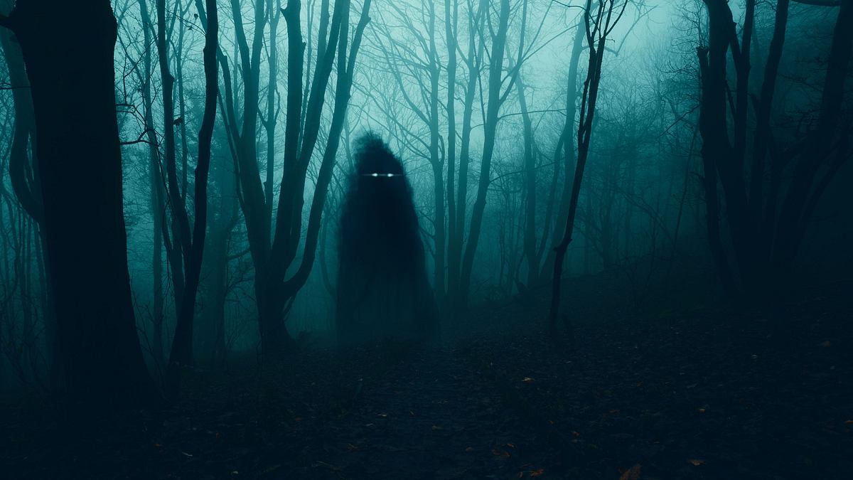 the proof is out there - auf den spuren des unerklärlichen