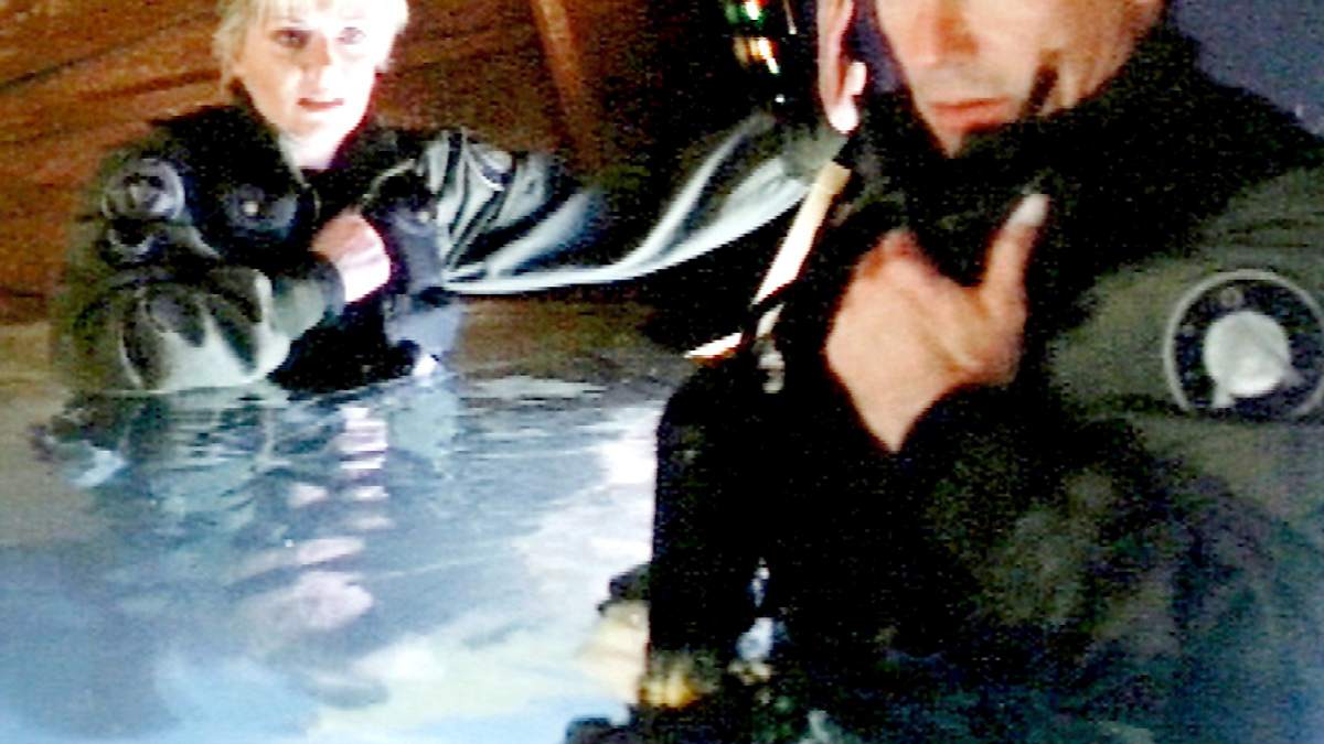 stargate