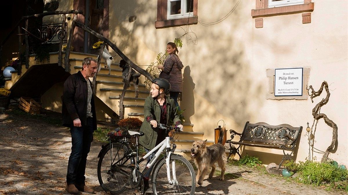 tiere bis unters dach