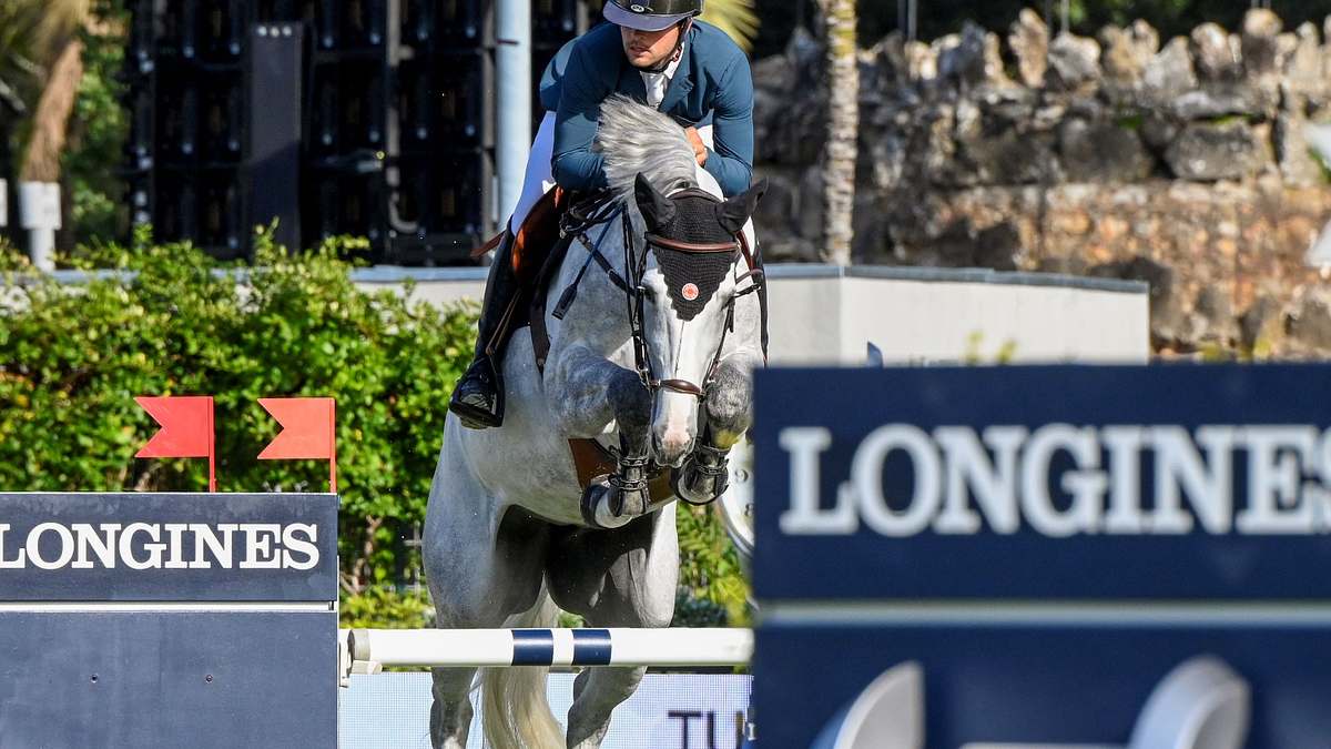 springreiten: league of nations