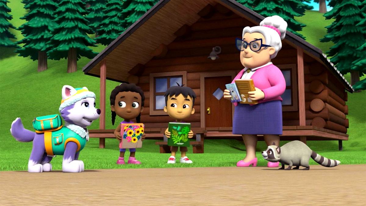 Paw Patrol - Helfer auf vier Pfoten paw patrol - helfer auf vier pfoten