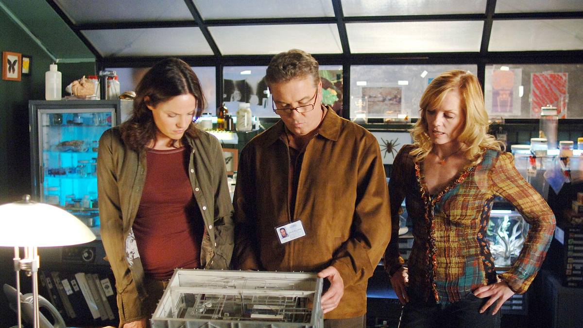 csi: den tätern auf der spur