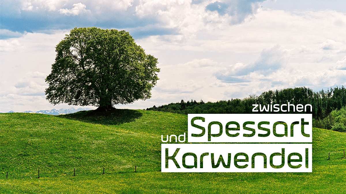 Zwischen Spessart und Karwendel zwischen spessart und karwendel