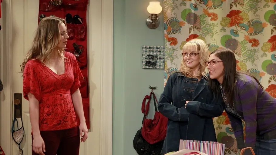 The Big Bang Theory the big bang theory
