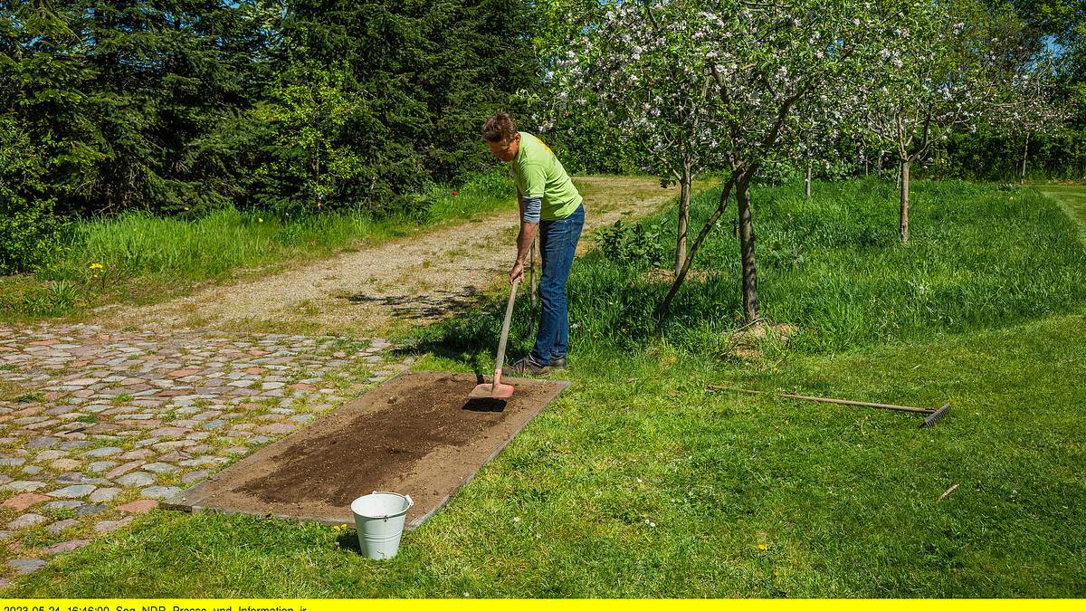 rasch durch den garten