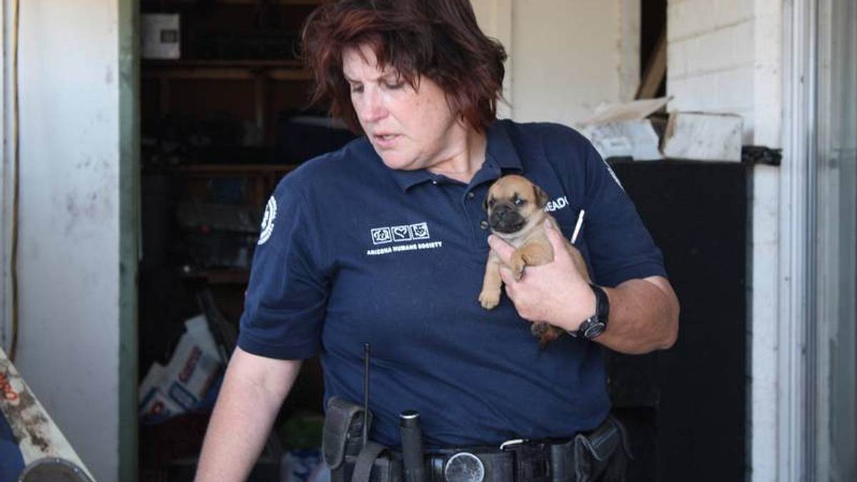 tierpolizei phoenix