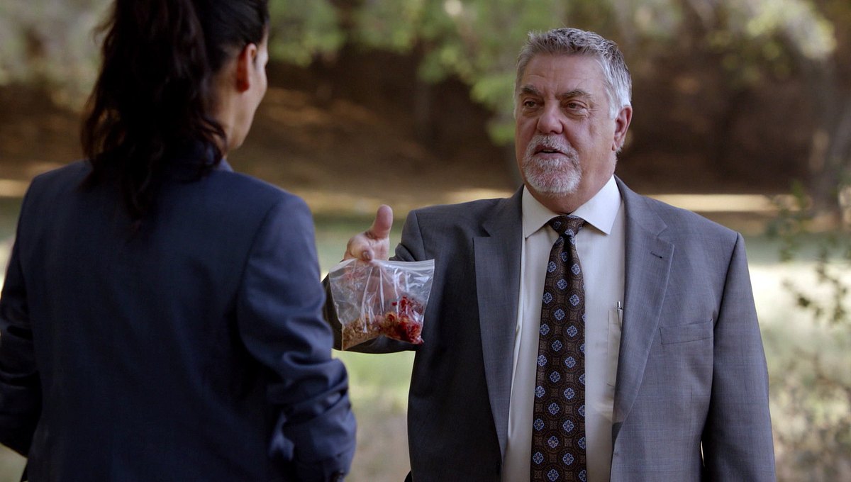 rizzoli & isles