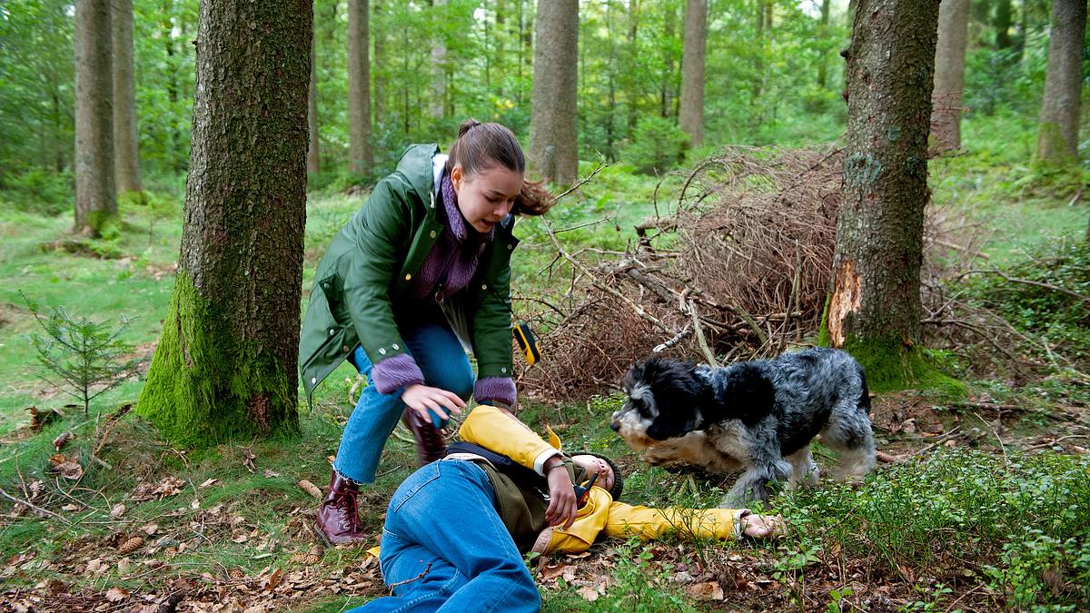 tiere bis unters dach