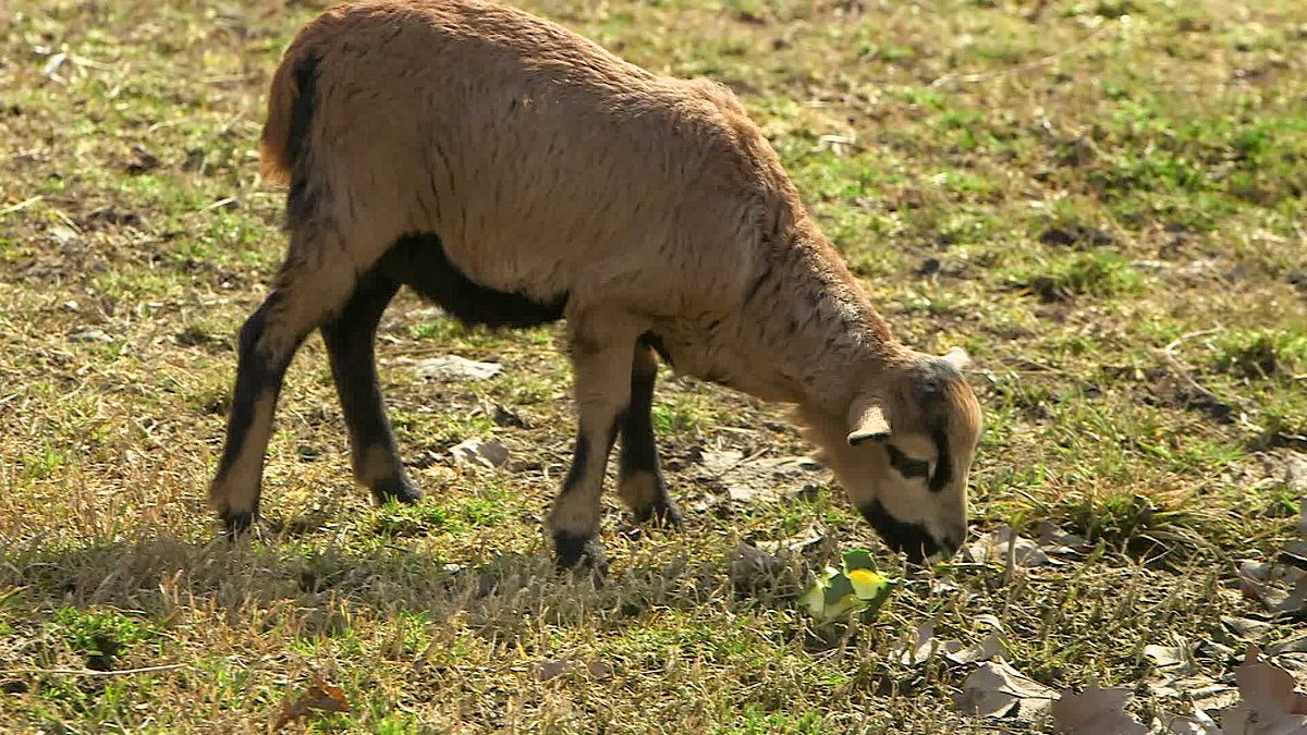 reisezeit - zurück zur natur
