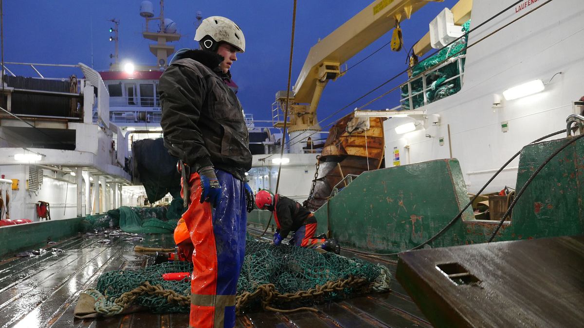 harte arbeit auf rauer see - die deutschen hochseefischer