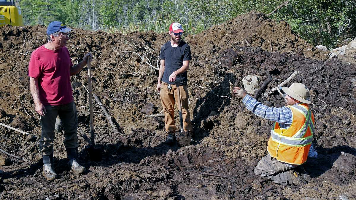 oak island - fluch und legende