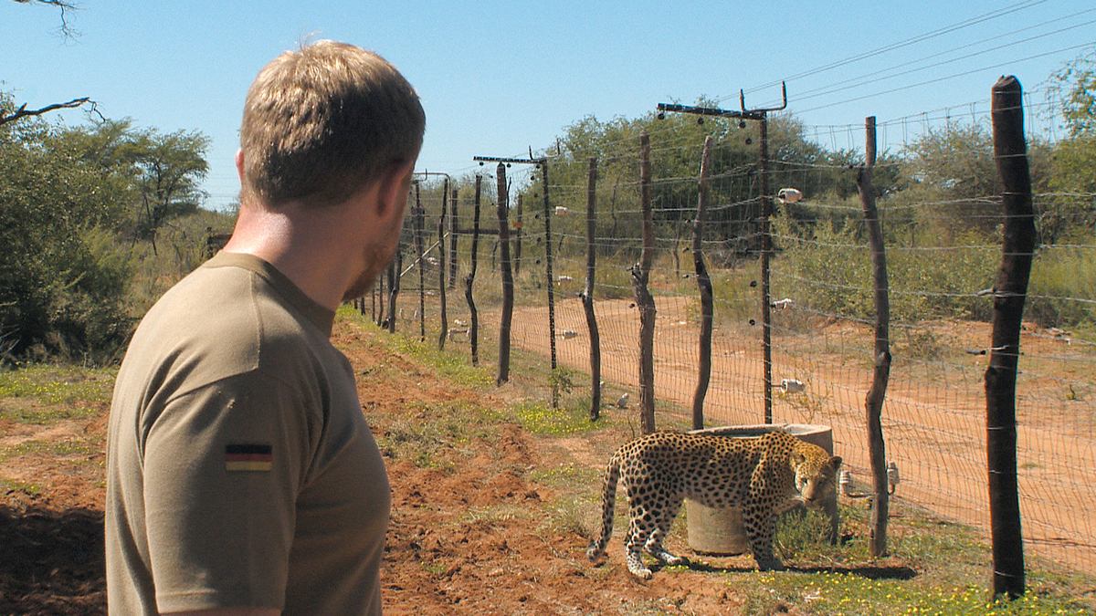 das waisenhaus für wilde tiere - abenteuer afrika