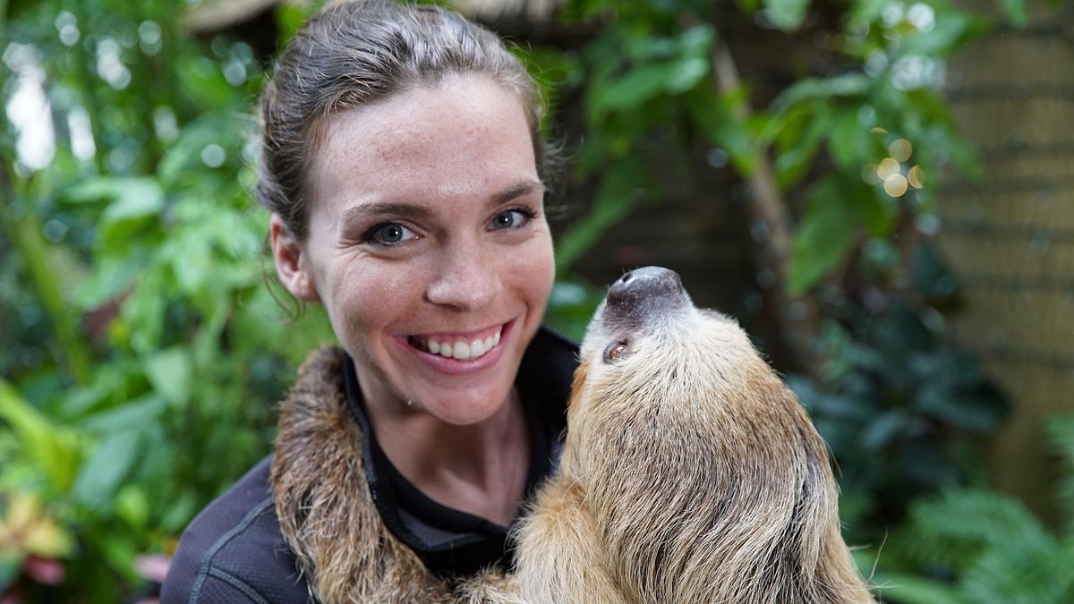 die superkräfte der tiere