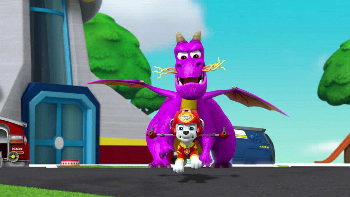 paw patrol - helfer auf vier pfoten