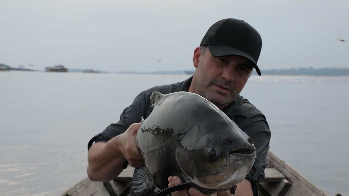 monsterfische am haken