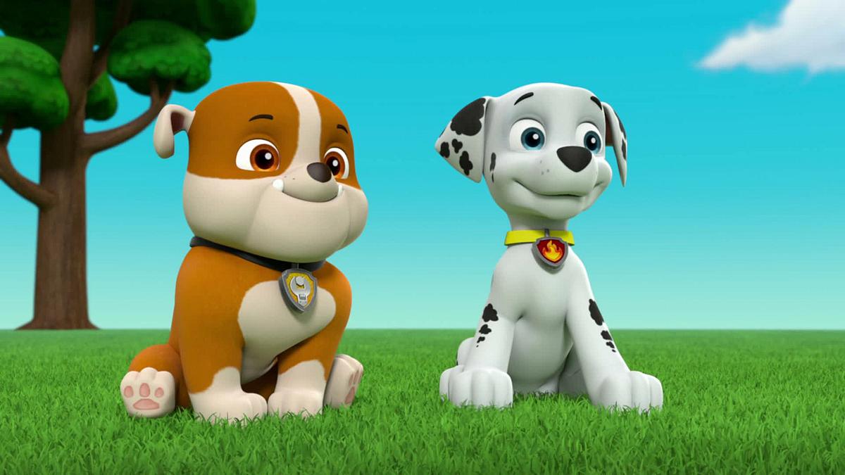 Paw Patrol - Helfer auf vier Pfoten paw patrol - helfer auf vier pfoten