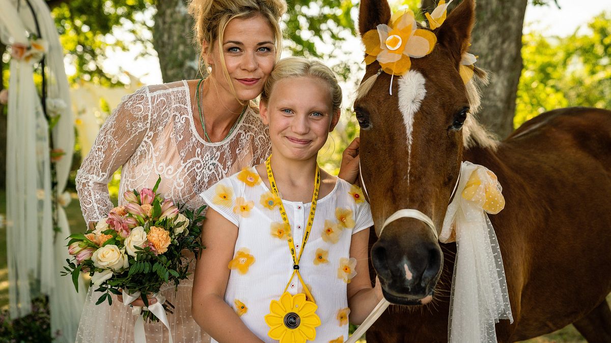 inga lindström: familienfest in sommerby
