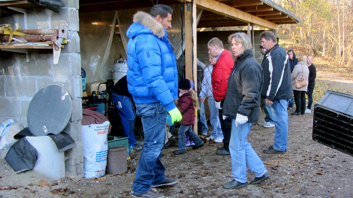 der trödeltrupp - das geld liegt im keller