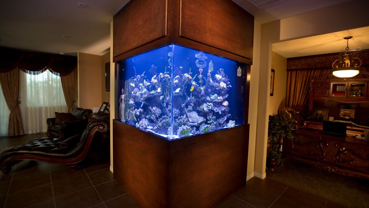 die aquarium-profis