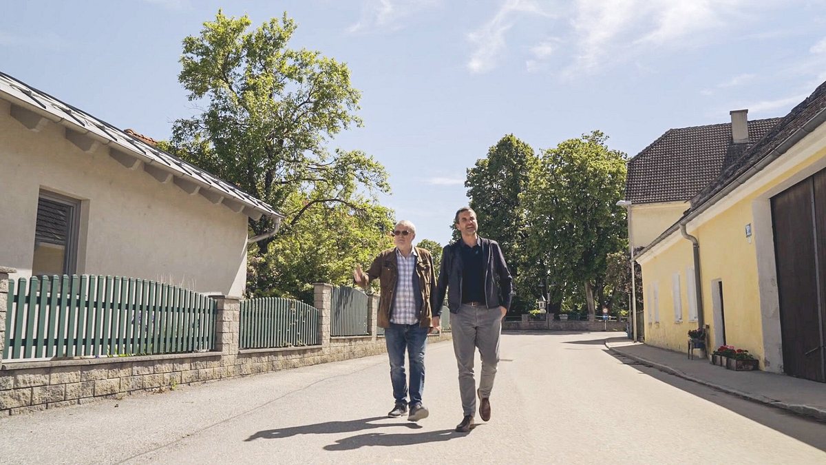der bauer und der bobo