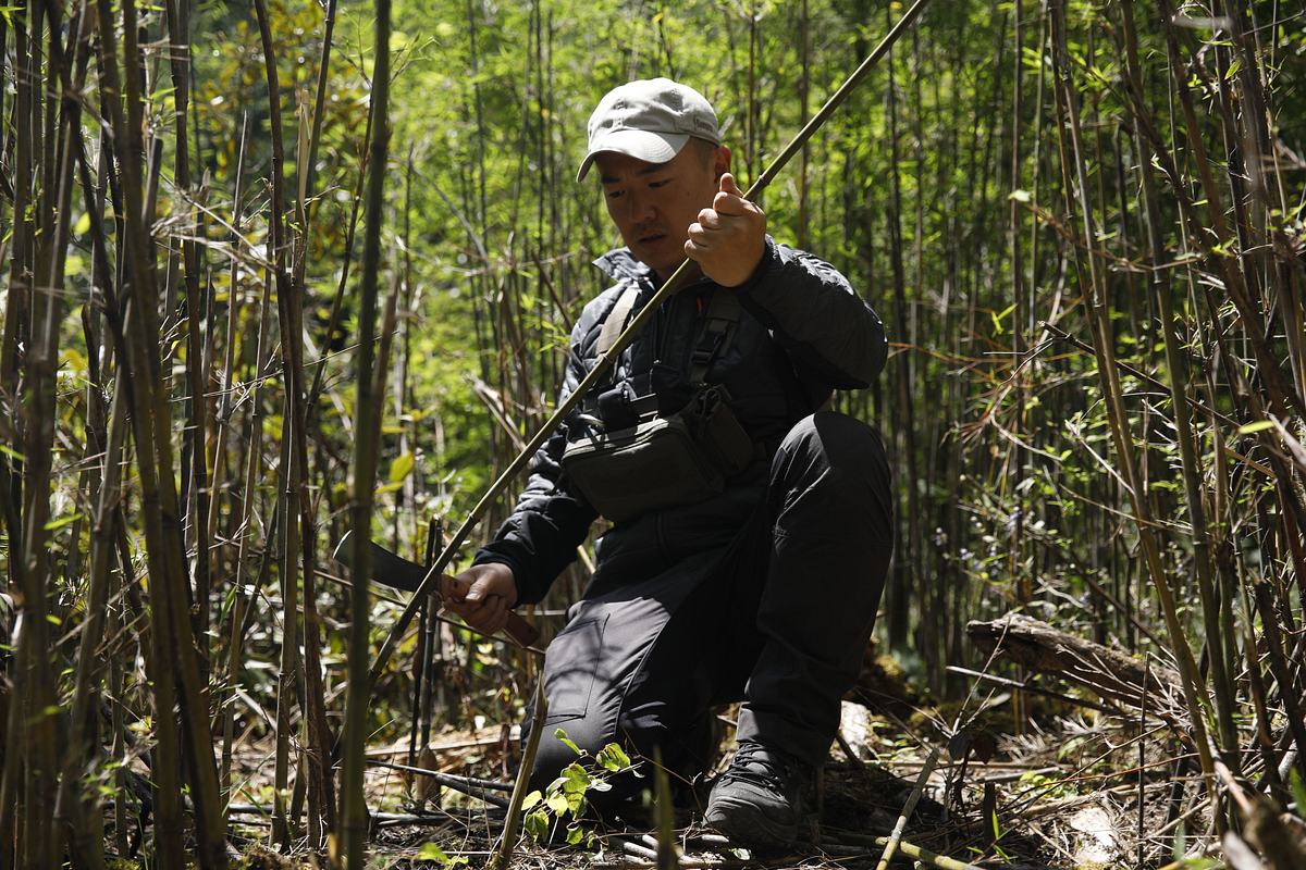 Ed Stafford: Das Survival-Duell ed stafford: das survival-duell